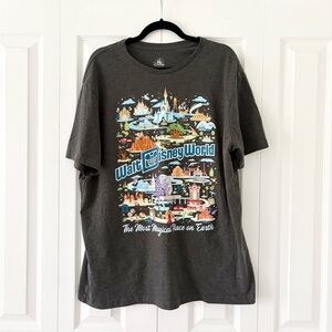 Walt Disney World Grey Shirt
